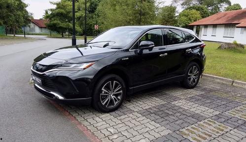 国产20p,引领科技潮流的创新之作 第3张 国产20p,引领科技潮流的创新之作 第3张