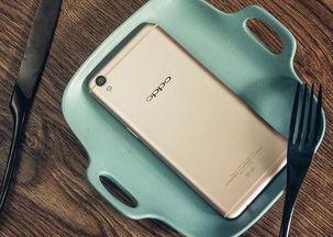 热e国产 第2张 热e国产 第2张