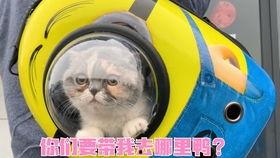 国产超级大香蕉,揭秘我国农业科技新成果 第2张 国产超级大香蕉,揭秘我国农业科技新成果 第2张