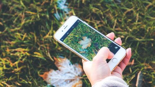 手机看片国产永久福利,国产福利大片,尽在掌握 第3张 手机看片国产永久福利,国产福利大片,尽在掌握 第3张