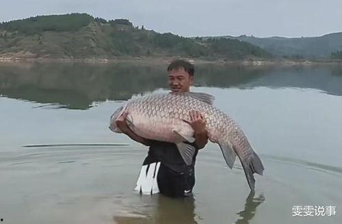 青鱼视频国产在线,国产在线影视盛宴,尽享视听盛宴 第2张 青鱼视频国产在线,国产在线影视盛宴,尽享视听盛宴 第2张