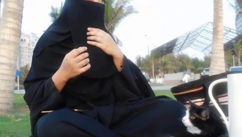 娱乐圈吃瓜君七七,揭秘明星背后的秘密与八卦